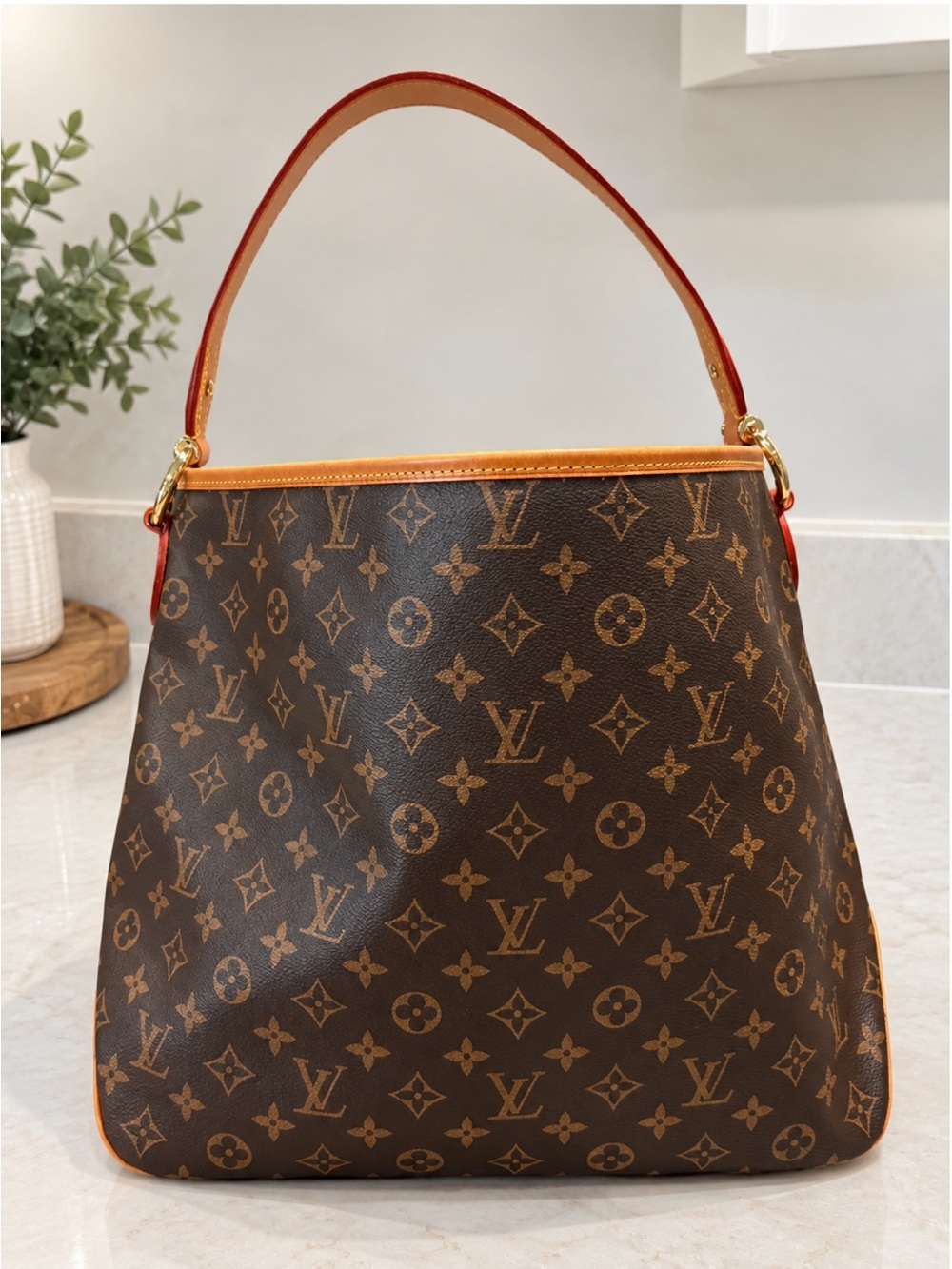 ✨BNWOT - Monogram Canvas Delightful MM Bag✨